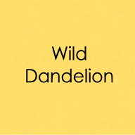 Gina K Designs ENVELOPES- Wild Dandelion