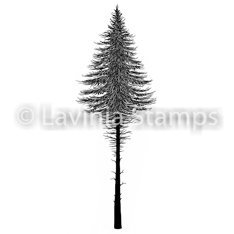 Lavinia Stamps Fairy Fir Tree 2 Stamp LAV477