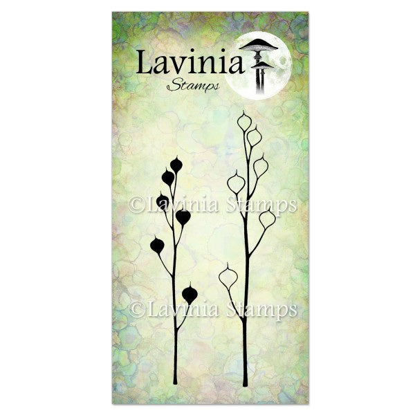 Lavinia Stamps Seed Heads Stamp LAV466