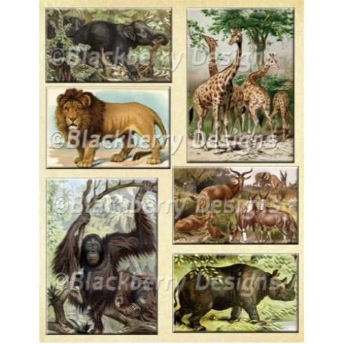 A4 Tissue Paper Design for Sospeso Or Decoupage Collage Sheets Animals