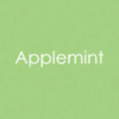 Gina K Designs Envelopes 10 pack- Applemint