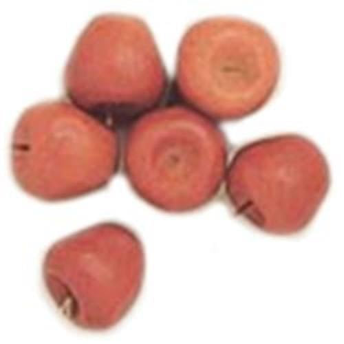 Timeless Miniatures Red Apples 6/Pkg