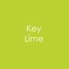 Gina K Designs Envelopes 10 pack- Key Lime