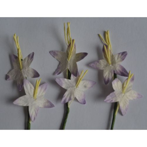 25 LIGHT LILAC WHITE STAR LILY GLADIOLI Mulberry Paper