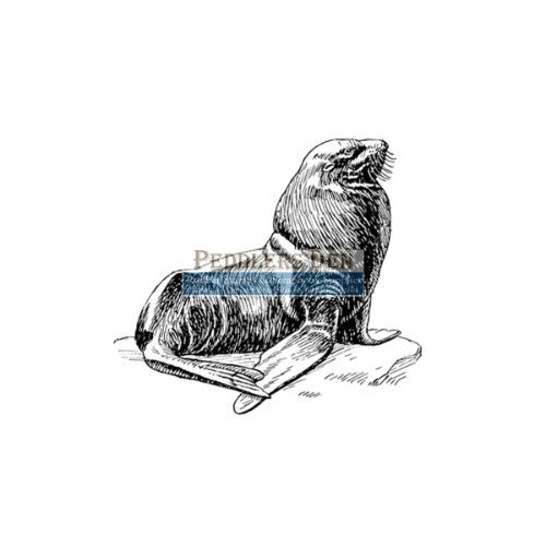 Peddlers Den Seal T3-069B - No Mounting