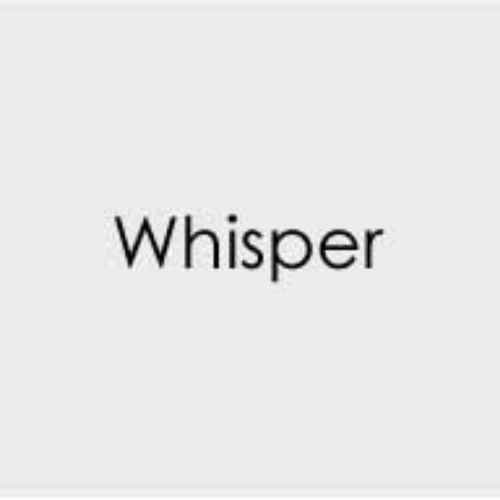 Gina K Designs Envelopes 10 pack- Whisper