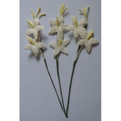 25 WHITE STAR LILY GLADIOLI Mulberry Paper