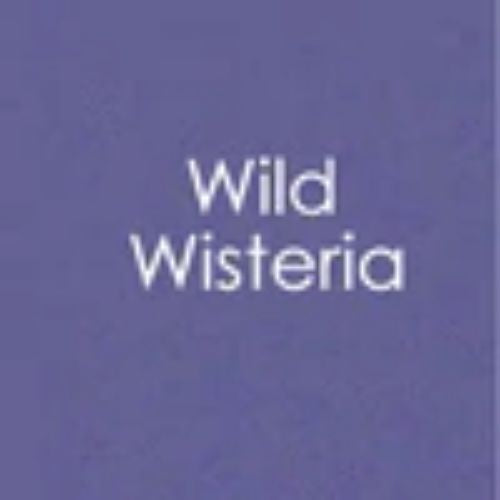 Gina K Designs Envelopes 10 pack- Wild Wisteria