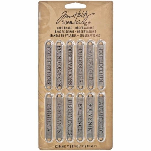 Tim Holtz Idea-Ology Metal Word Bands .375"X2.25" 12/Pkg Antique Nickel Observations